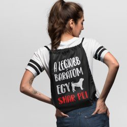A legjobb barátom egy shar pei tornazsák