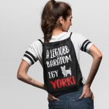 A legjobb barátom egy yorki tornazsák