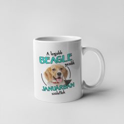 A legjobb beagle gazdik (hónapban) születtek bögre