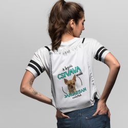 A legjobb csivava gazdik (hónapban) születtek tornazsák