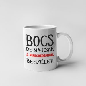 Bocs de ma csak a pinscheremmel beszélek bögre