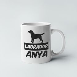 Labrador retriever anya bögre